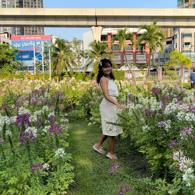 ถ่ายรูปดอกไม้ ที่สวนรถไฟ