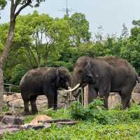 Bestie’s Day Out At SH Wild Animal Park