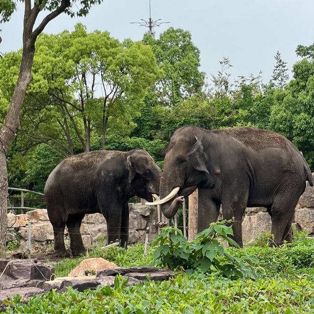 Bestie’s Day Out At SH Wild Animal Park