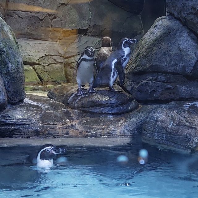 Jakarta Aquarium