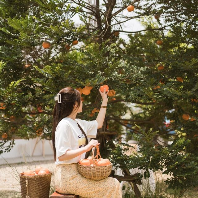April Flavors cafe  คาเฟ่สไตล์เกาหลี🇰🇷 มินิมอล