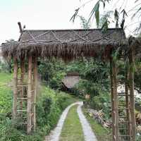 Life Cafe : Slowbar คาเฟ่ติดริมแม่น้ำโขง