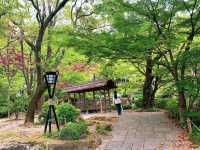 สวนสาธารณะกิฟุ (Gifu Park)🌳🌿