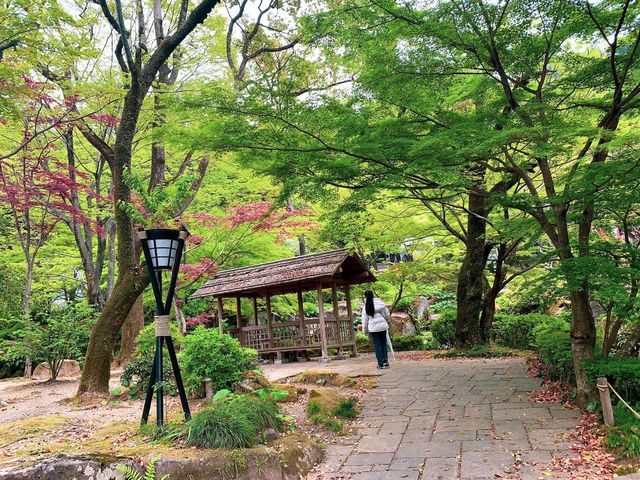 สวนสาธารณะกิฟุ (Gifu Park)🌳🌿