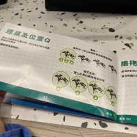 沙田馬場初體驗！新手增長見識，值得一試