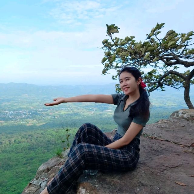 อุทยานแห่งชาติไทรทอง ทุ่งดอกกระเจียว ชัยภูมิ