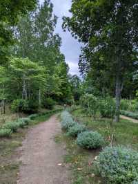 【北海道の大きな公園】キャンプも出来る滝野すずらん丘陵公園
