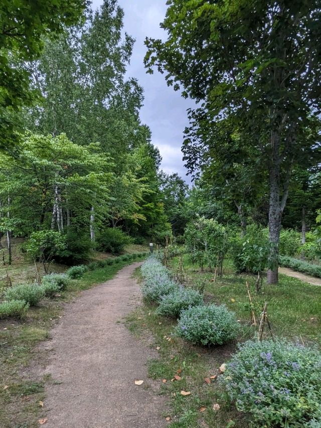 【北海道の大きな公園】キャンプも出来る滝野すずらん丘陵公園