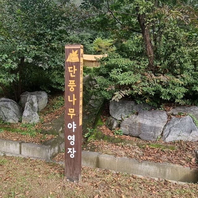 무료로 이용 금오산도립공원야영장