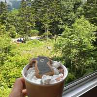 新穗高纜車 🚡 mount view cafe 嘆頂之雪糕🍦