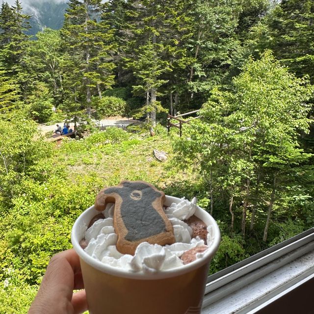 新穗高纜車 🚡 mount view cafe 嘆頂之雪糕🍦