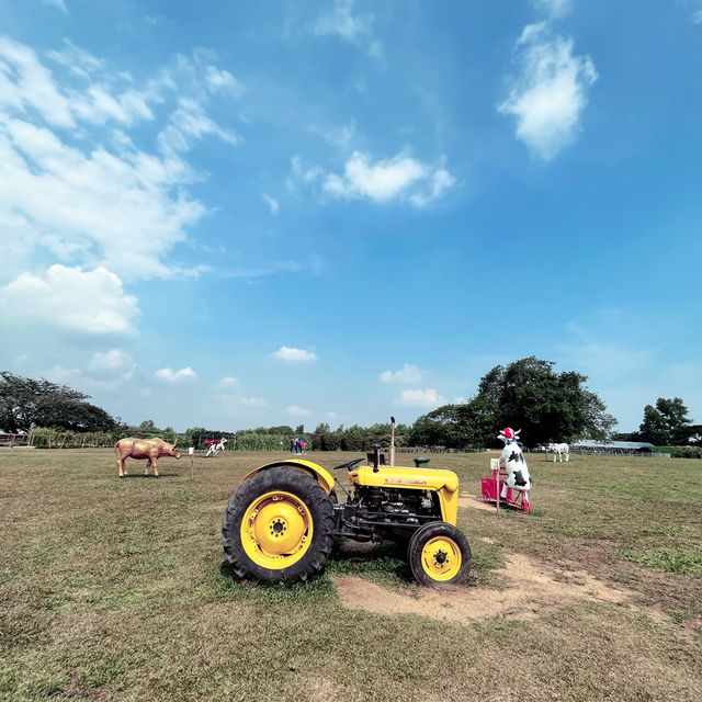 Enjoy The Visit To This Cattle Farm 🐄