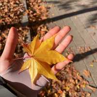 Hiking in Seoul during autumn 