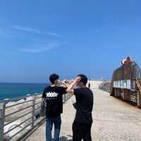 넓고 푸른 동해안의 자랑 강릉 안목해변🌊