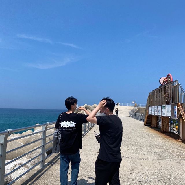 넓고 푸른 동해안의 자랑 강릉 안목해변🌊