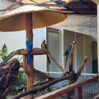 Langkawi Wildlife Park