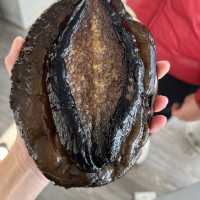 荷伯特 Tasmanian Wild Seafood Adventure海鮮遊艇之旅