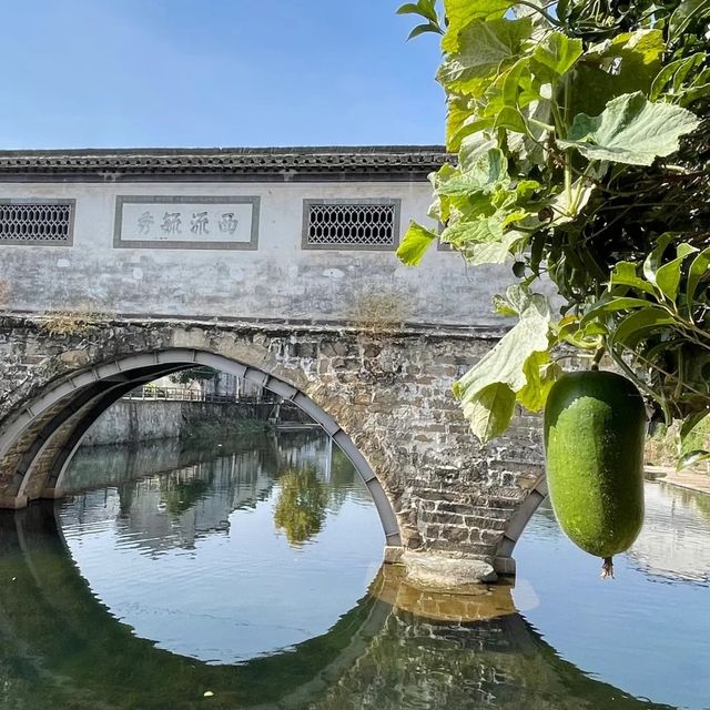 🌿🏞️ 崇振樓生態旅遊度假村～與大自然共享奇妙🌳🛶💫