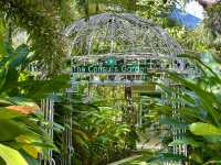 The Consul's Garden
