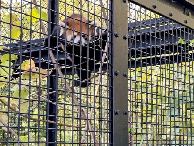 破格の600円で楽しめる動植物園！