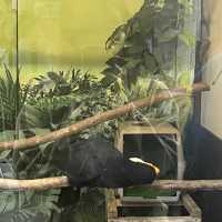 鳥と花を間近で鑑賞！