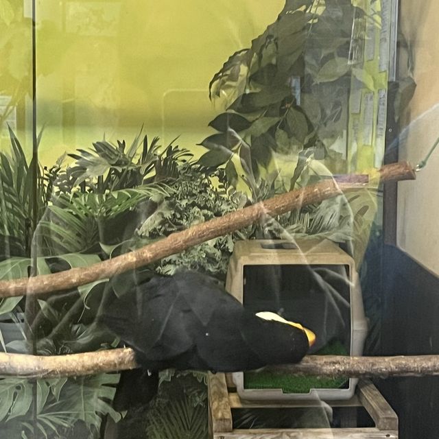 鳥と花を間近で鑑賞！