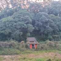 粉嶺郊遊