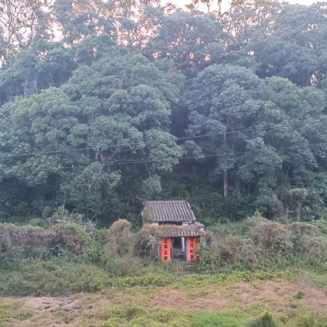 粉嶺郊遊