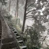 太平山，見晴懷古步道