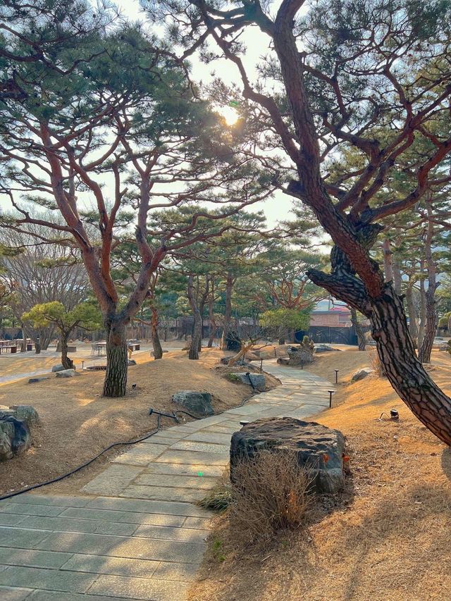 북한강뷰의 대형카페 아유스페이스☕️