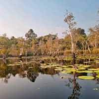 สวนพฤกษศาสตร์ระยอง พายคายัคชมธรรมชาติ 🐟🌳🌲