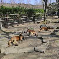 人生必到 野生動物餵食體驗