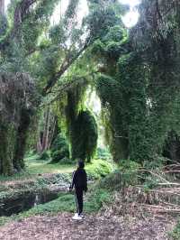 Perth 珀斯秘密花園(Secret Garden) | 世外桃源的景色