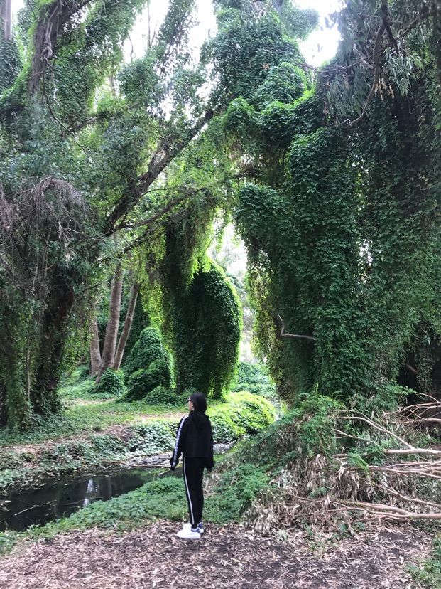 Perth 珀斯秘密花園(Secret Garden) | 世外桃源的景色