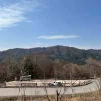 【 草泥馬牧場+南怡島+江村鐵路一天遊 】