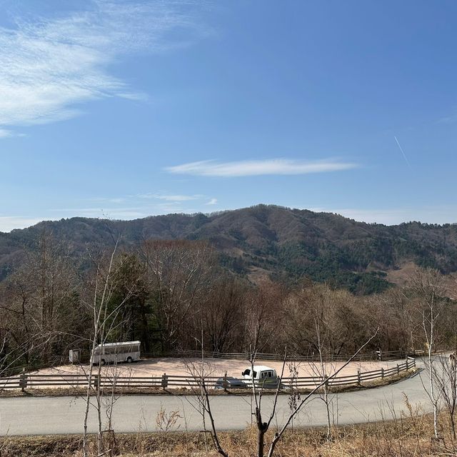 【 草泥馬牧場+南怡島+江村鐵路一天遊 】
