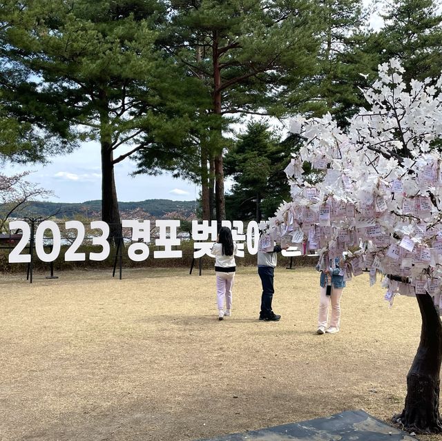 경포대에서 내려다보는 아름다운 경관