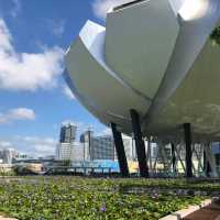 新加坡🇸🇬最具代表性建築❤️藝術科學博物館