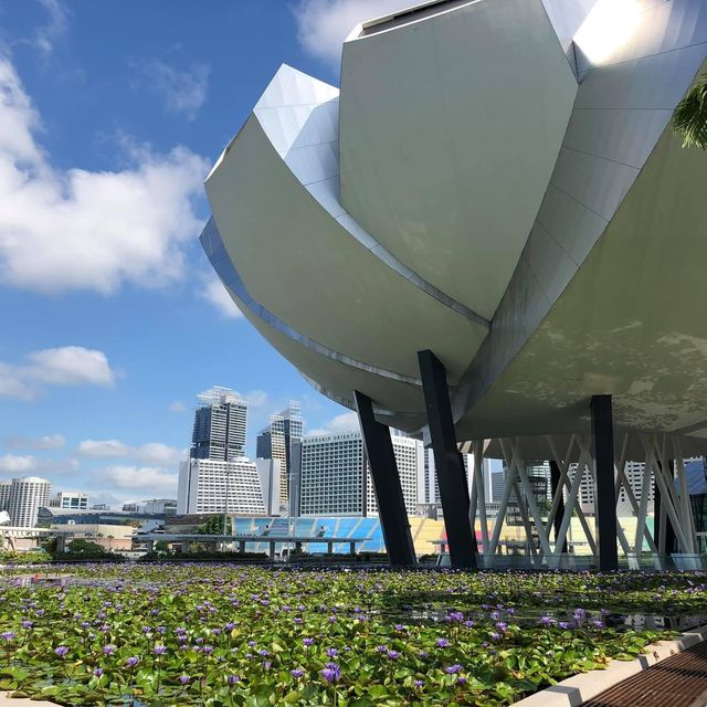 新加坡🇸🇬最具代表性建築❤️藝術科學博物館