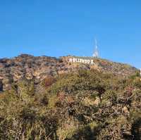 HOLLYWOOD🇺🇸 사인 보러 가야할 곳 