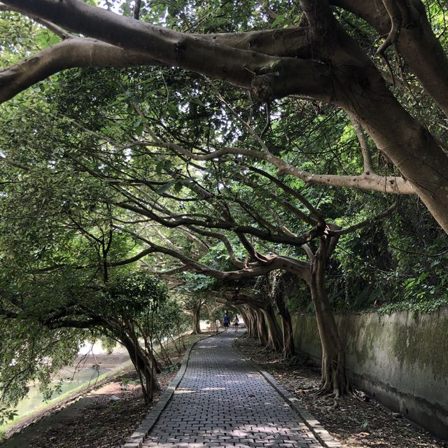 關西牛欄河