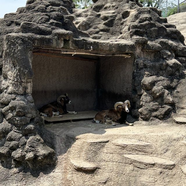 【 市區內的傳統動物園。天王寺動物園 】