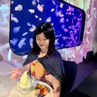 夢幻般的水母之旅