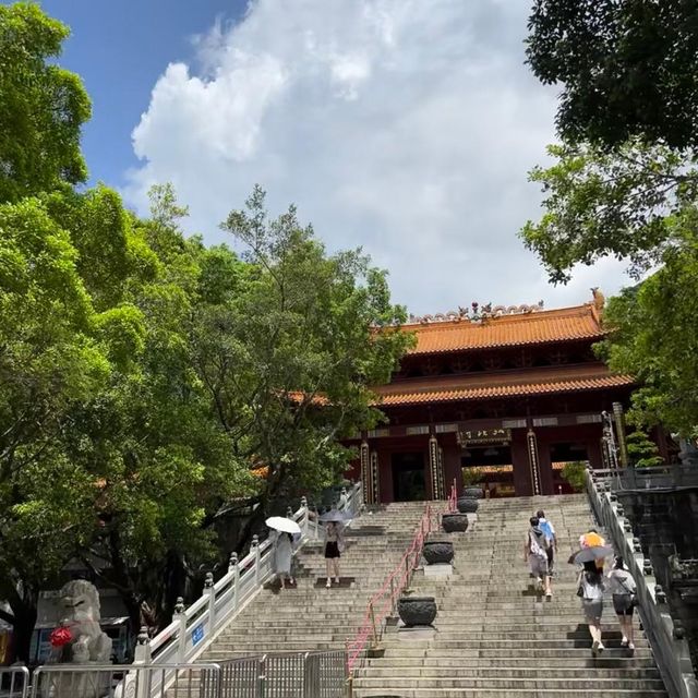 🏞️植物奧秘 - 仙湖植物園🌱