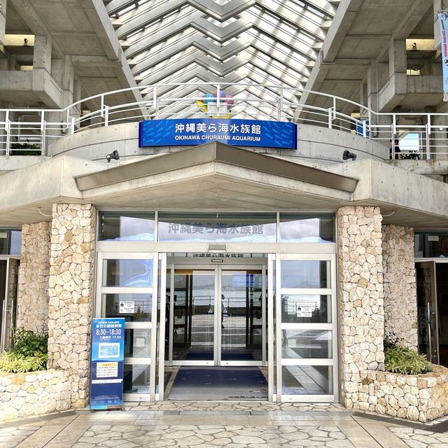 亞洲最大型水族館-沖繩美麗海水族館