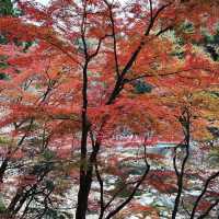 香嵐渓