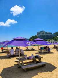 거제도 여름휴가는 와현해수욕장 호캉스까지🏝