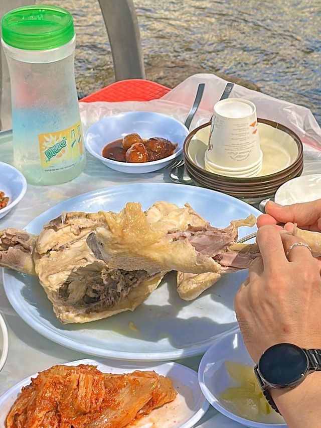 우리집 아이도, 강아지도 모두 즐거운 계곡 맛집 추천🩵 