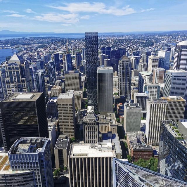 Seattle's Highest View