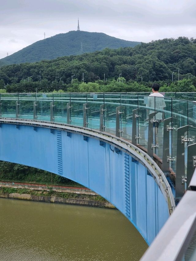 공중에 떠있는 아라전망대